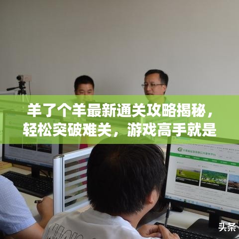 羊了個(gè)羊最新通關(guān)攻略揭秘，輕松突破難關(guān)，游戲高手就是你！