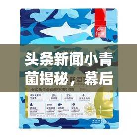 頭條新聞小青菌揭秘，幕后故事與巨大影響力