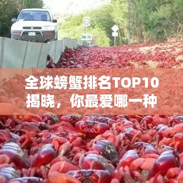 全球螃蟹排名TOP10揭曉，你最愛哪一種？