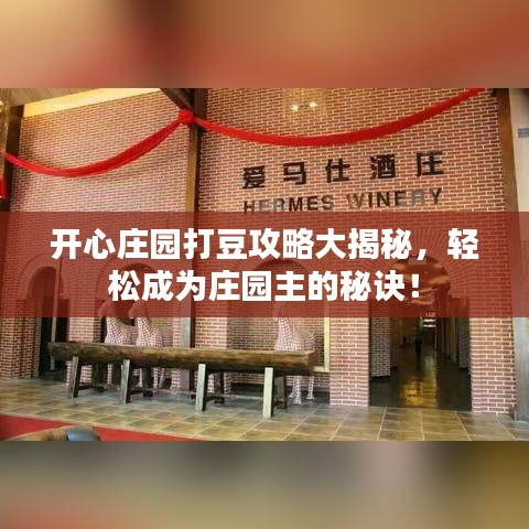 開心莊園打豆攻略大揭秘，輕松成為莊園主的秘訣！