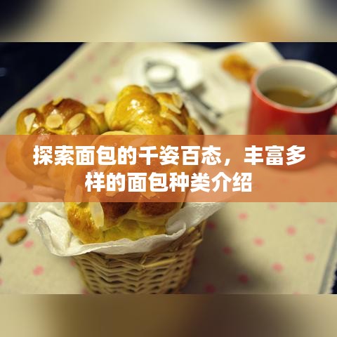 探索面包的千姿百態(tài)，豐富多樣的面包種類介紹