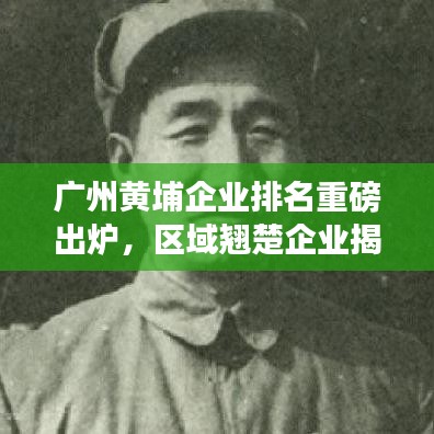 廣州黃埔企業(yè)排名重磅出爐，區(qū)域翹楚企業(yè)揭曉