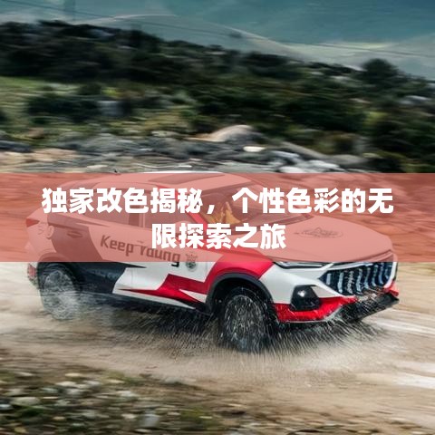 獨(dú)家改色揭秘，個(gè)性色彩的無(wú)限探索之旅