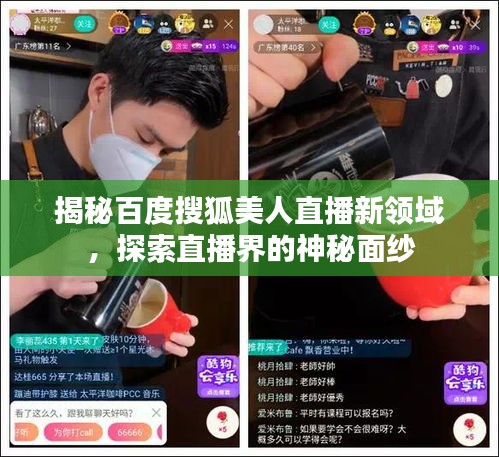 揭秘百度搜狐美人直播新領(lǐng)域，探索直播界的神秘面紗