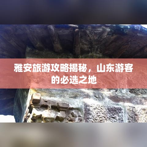 雅安旅游攻略揭秘，山東游客的必選之地