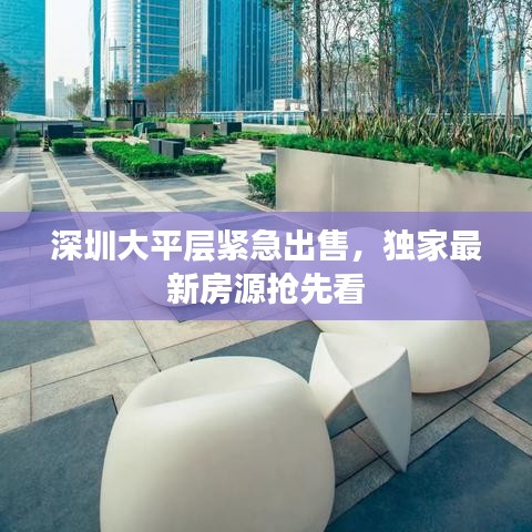 深圳大平層緊急出售，獨家最新房源搶先看