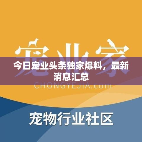 今日寵業(yè)頭條獨(dú)家爆料，最新消息匯總