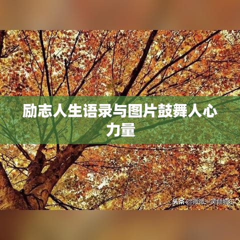 勵志人生語錄與圖片鼓舞人心力量