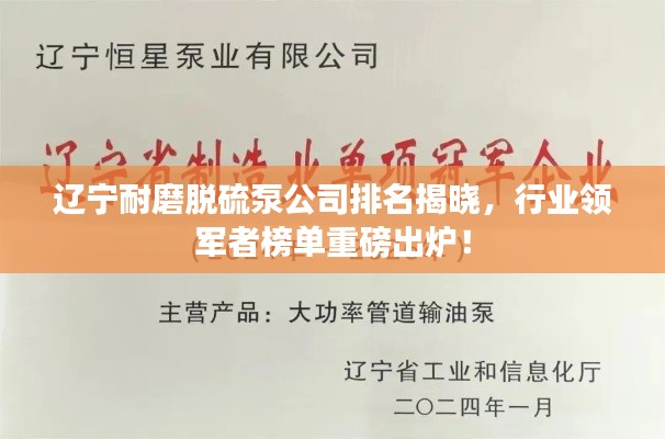 遼寧耐磨脫硫泵公司排名揭曉，行業(yè)領(lǐng)軍者榜單重磅出爐！
