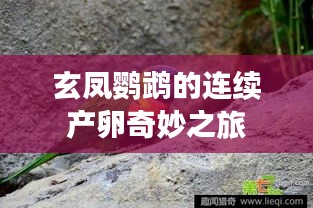 2025年3月 第62頁(yè)