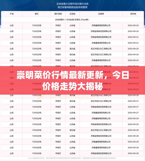 崇明菜價行情最新更新，今日價格走勢大揭秘
