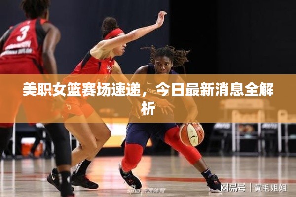 美職女籃賽場(chǎng)速遞，今日最新消息全解析
