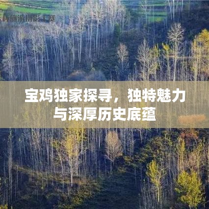 2025年3月 第60頁