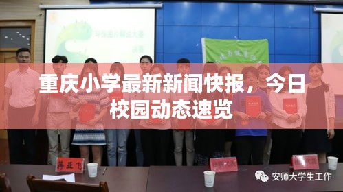 重慶小學(xué)最新新聞快報，今日校園動態(tài)速覽