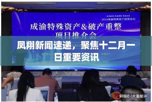 鳳翔新聞速遞，聚焦十二月一日重要資訊