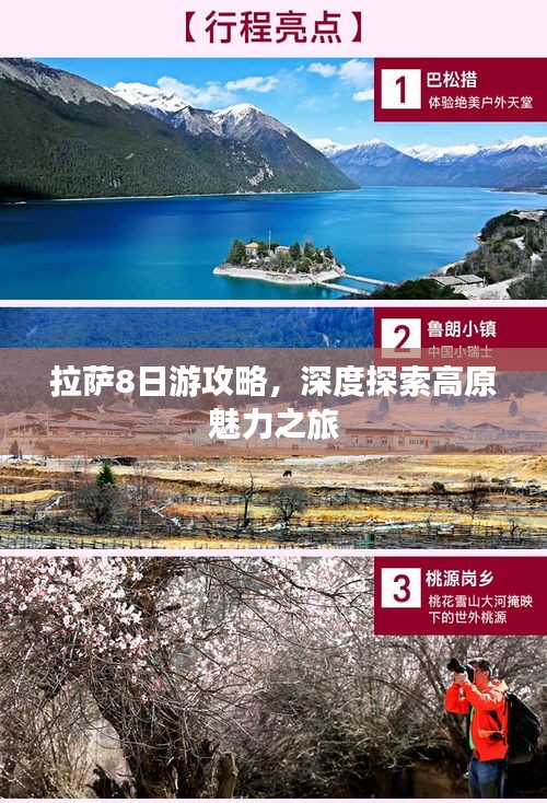 拉薩8日游攻略，深度探索高原魅力之旅