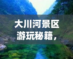 大川河景區(qū)游玩秘籍，暢游美景，盡享樂趣！