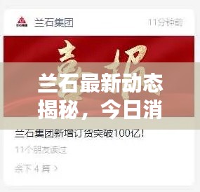 蘭石最新動態(tài)揭秘，今日消息一網(wǎng)打盡！