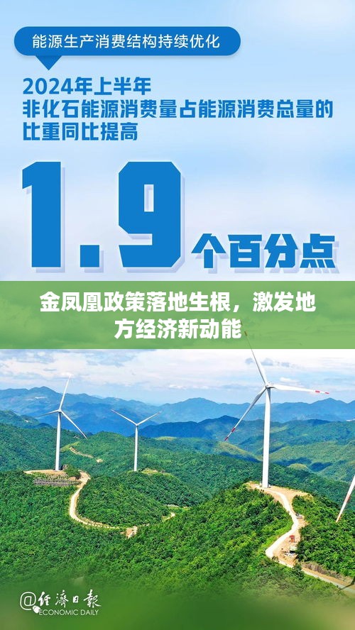 金鳳凰政策落地生根，激發(fā)地方經(jīng)濟新動能