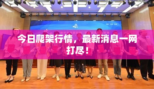 今日爬架行情，最新消息一網(wǎng)打盡！