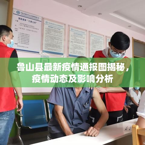 魯山縣最新疫情通報圖揭秘，疫情動態(tài)及影響分析