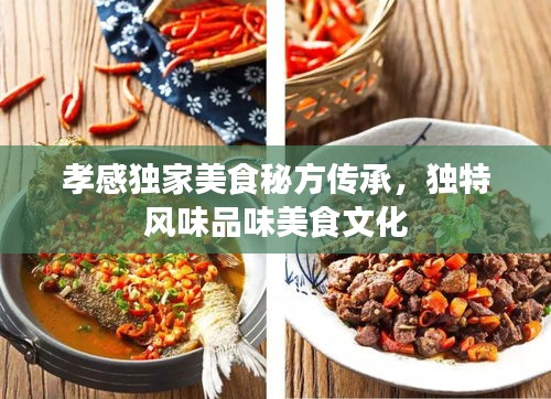孝感獨(dú)家美食秘方傳承，獨(dú)特風(fēng)味品味美食文化