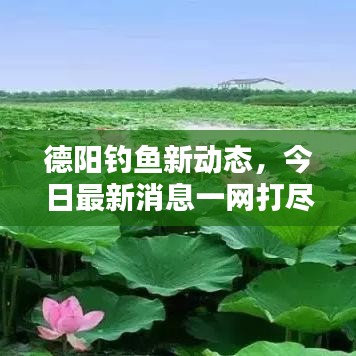 德陽(yáng)釣魚(yú)新動(dòng)態(tài)，今日最新消息一網(wǎng)打盡！