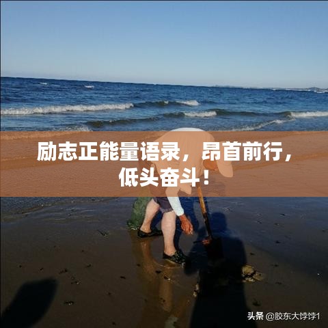 勵(lì)志正能量語(yǔ)錄，昂首前行，低頭奮斗！