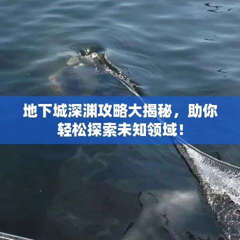 地下城深淵攻略大揭秘，助你輕松探索未知領(lǐng)域！