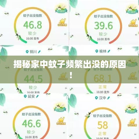 揭秘家中蚊子頻繁出沒的原因！