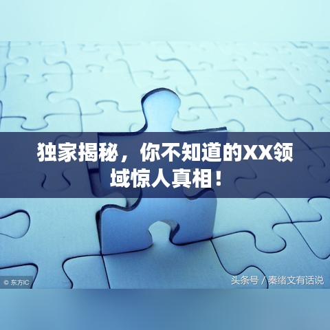 獨(dú)家揭秘，你不知道的XX領(lǐng)域驚人真相！
