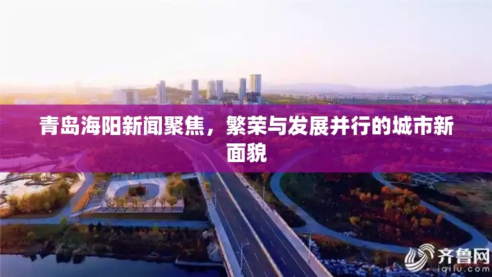 青島海陽新聞聚焦，繁榮與發(fā)展并行的城市新面貌