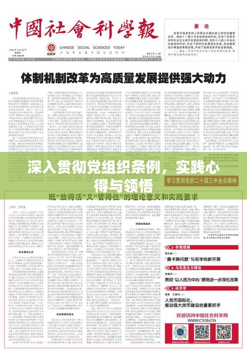 深入貫徹黨組織條例，實踐心得與領悟