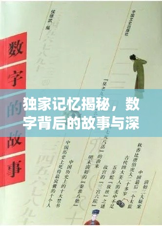 獨(dú)家記憶揭秘，數(shù)字背后的故事與深意探尋