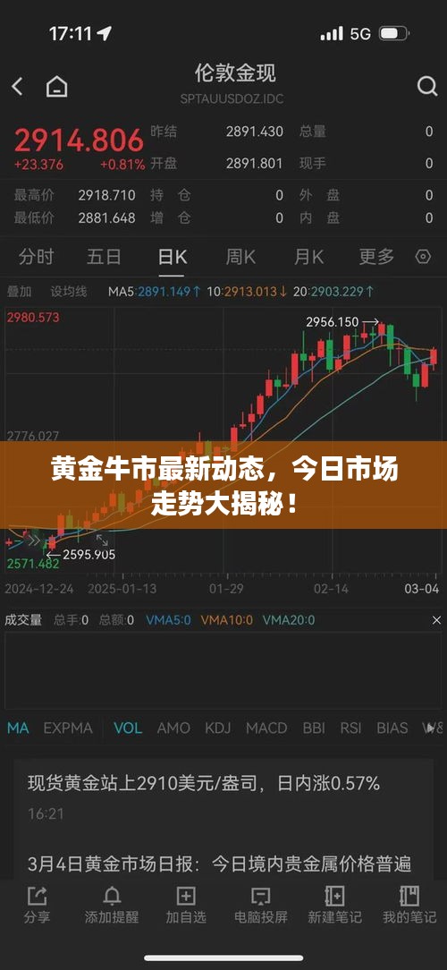 黃金牛市最新動(dòng)態(tài)，今日市場(chǎng)走勢(shì)大揭秘！