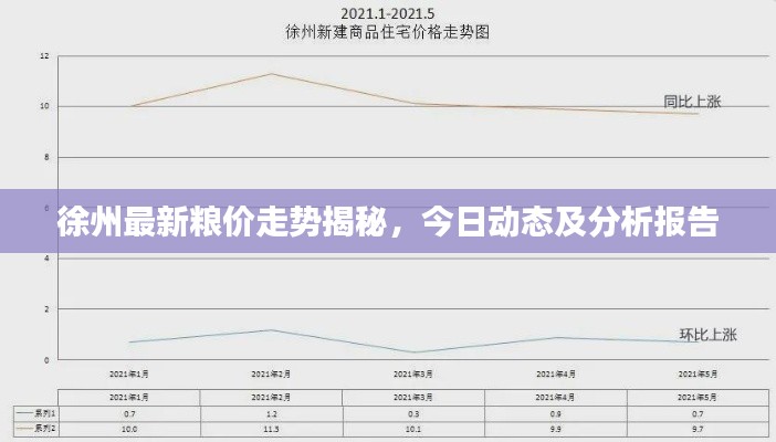 徐州最新糧價(jià)走勢(shì)揭秘，今日動(dòng)態(tài)及分析報(bào)告