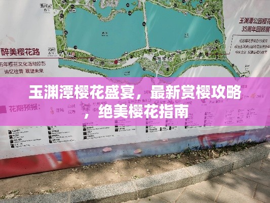 玉淵潭櫻花盛宴，最新賞櫻攻略，絕美櫻花指南