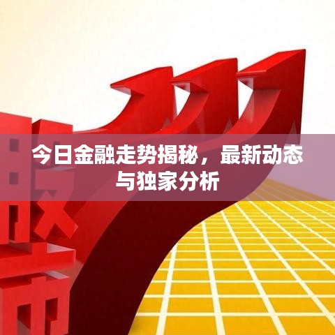 今日金融走勢(shì)揭秘，最新動(dòng)態(tài)與獨(dú)家分析