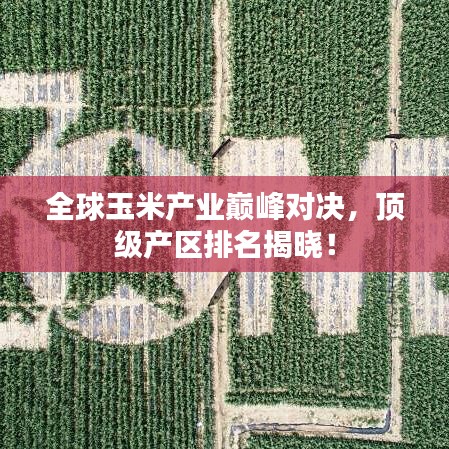 全球玉米產(chǎn)業(yè)巔峰對(duì)決，頂級(jí)產(chǎn)區(qū)排名揭曉！