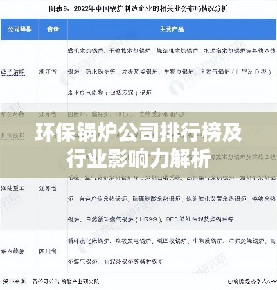 環(huán)保鍋爐公司排行榜及行業(yè)影響力解析