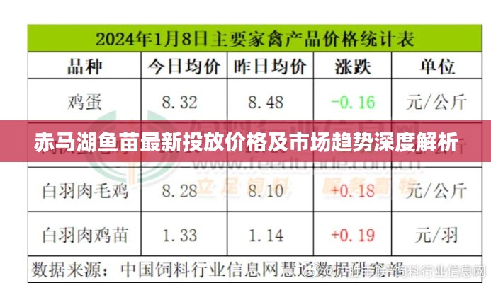 赤馬湖魚苗最新投放價(jià)格及市場(chǎng)趨勢(shì)深度解析