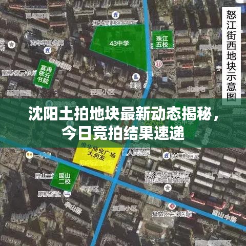 2025年3月 第3頁
