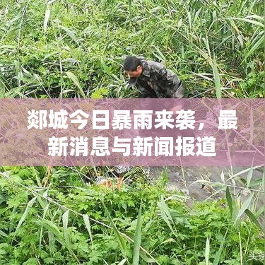 郯城今日暴雨來襲，最新消息與新聞報道