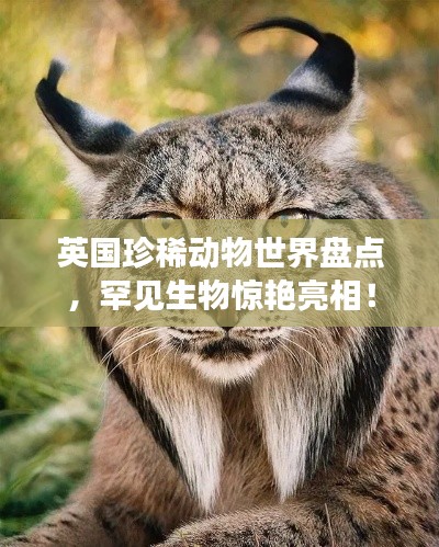 英國珍稀動物世界盤點，罕見生物驚艷亮相！
