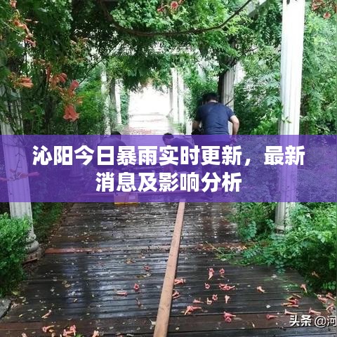 沁陽今日暴雨實時更新，最新消息及影響分析