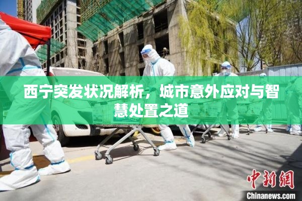 西寧突發(fā)狀況解析，城市意外應(yīng)對與智慧處置之道
