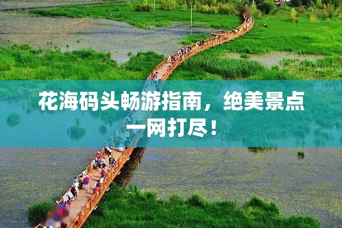 花海碼頭暢游指南，絕美景點一網(wǎng)打盡！