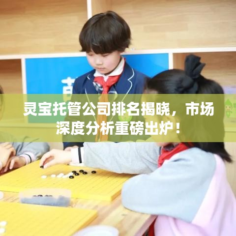 靈寶托管公司排名揭曉，市場深度分析重磅出爐！