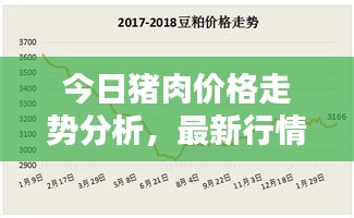 今日豬肉價格走勢分析，最新行情揭秘