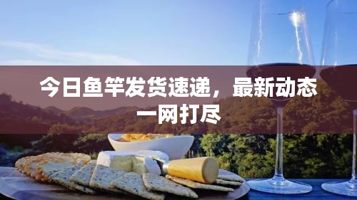 今日魚(yú)竿發(fā)貨速遞，最新動(dòng)態(tài)一網(wǎng)打盡